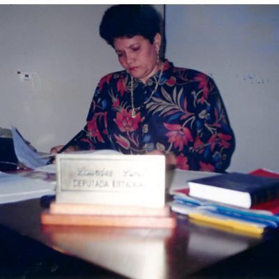 Deputada Estadual 53